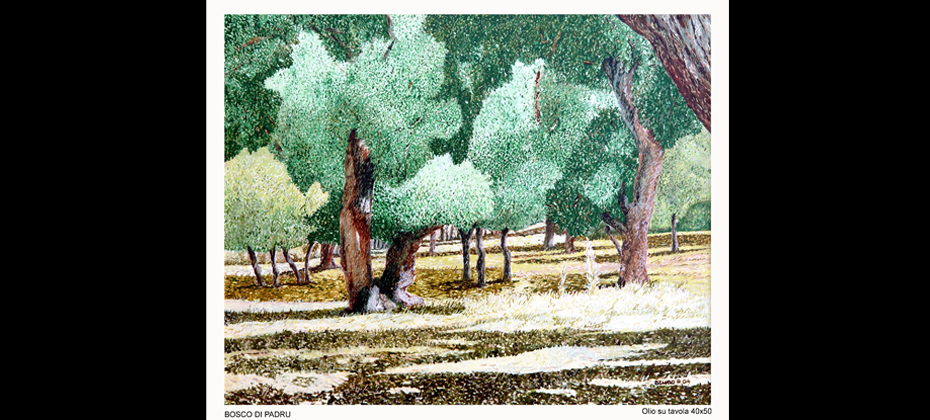 Bosco di Padru